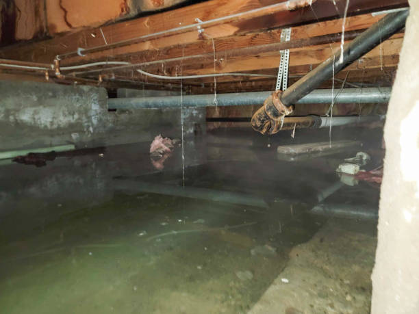 Best Emergency water damage restoration  in Plattsburgh, NY