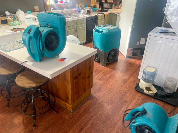 Best Flood damage cleanup  in Plattsburgh, NY