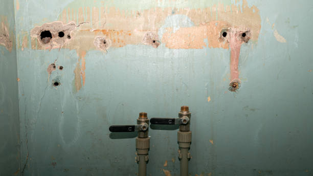 Trusted Plattsburgh, NY Water damage restoration Experts